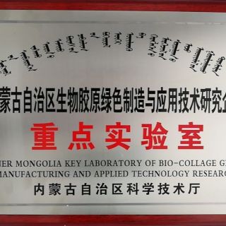 ���ɹ���������ҵ�ص�ʵ����